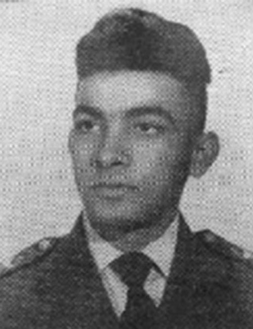 Ari Rodrigues