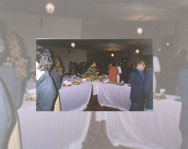 Alt Text